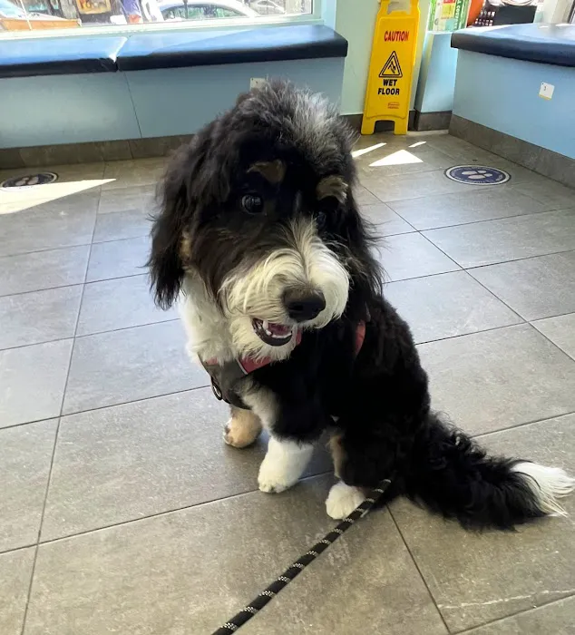 Riverdale Veterinary Group PC Picture 7