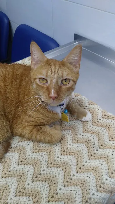 Riverdale Veterinary Group PC Picture 8