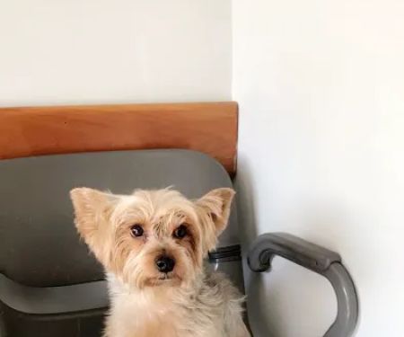 Riverdale Animal Hospital