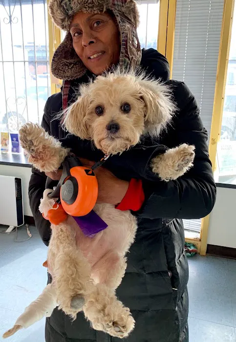 Riverdale Animal Hospital Picture 5