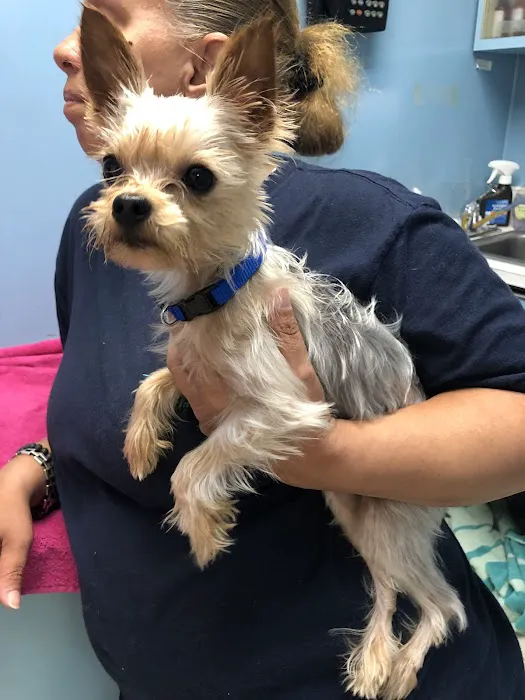 Riverdale Animal Hospital Picture 8