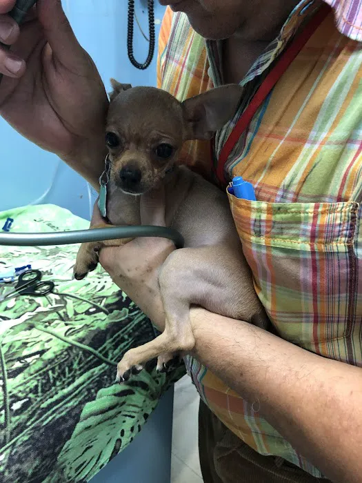 Riverdale Animal Hospital Picture 10