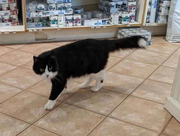 Rivergate Veterinary Clinic Picture 8