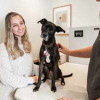 Bond Vet - Upper East Side at 62nd Street ico