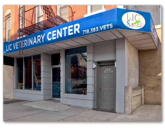 Long Island City Veterinary Center Picture 1