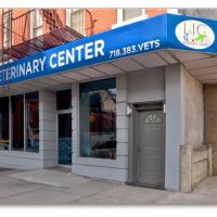 Long Island City Veterinary Center ico