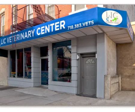 Long Island City Veterinary Center