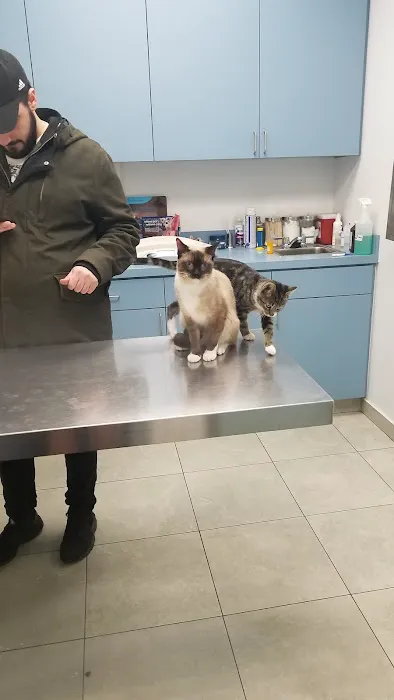 Long Island City Veterinary Center Picture 3