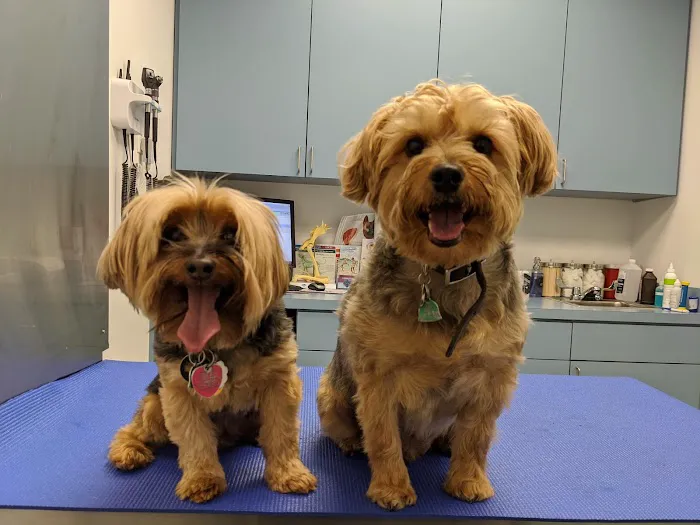 Long Island City Veterinary Center Picture 4
