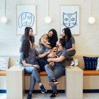 Bond Vet - Long Island City ico