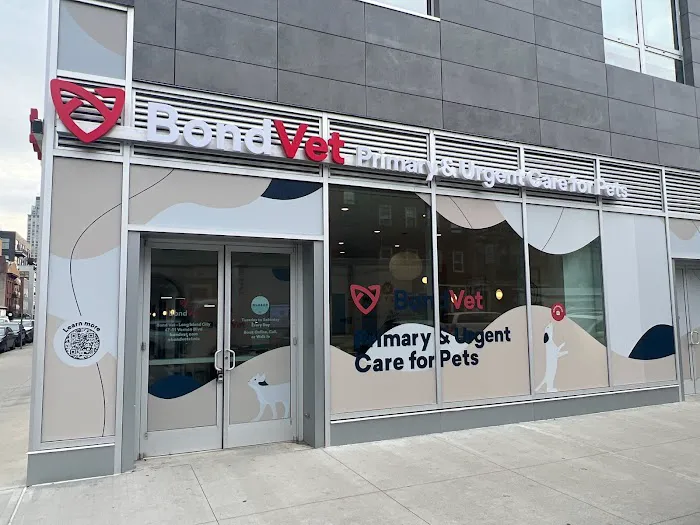Bond Vet - Long Island City Picture 6