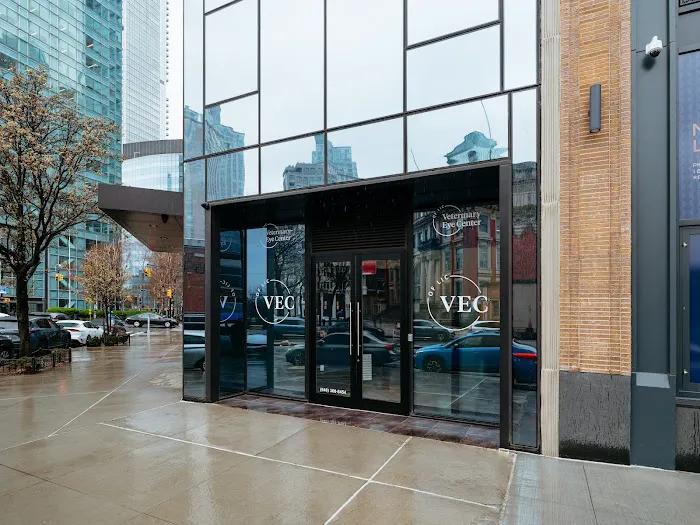 Veterinary Eye Center of New York City (Long Island City) Picture 10