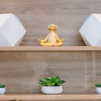 Pet Surgery Center of New York ico