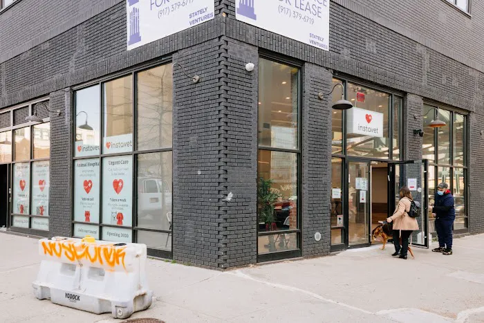 Pet Surgery Center of New York Picture 6