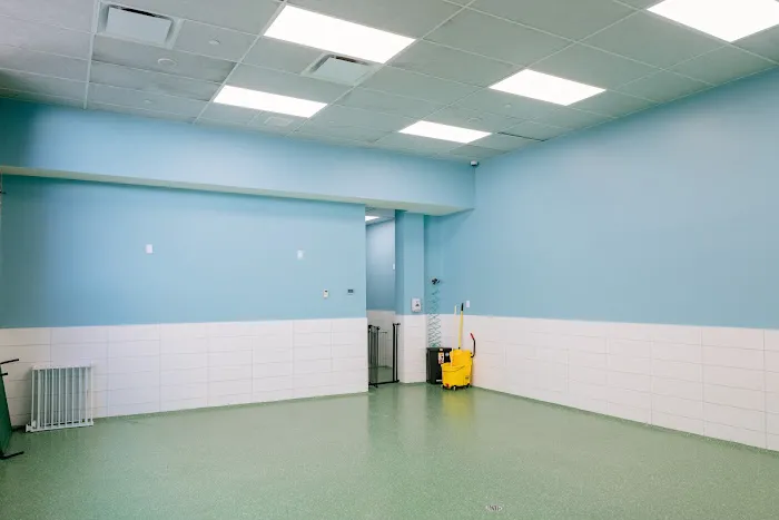 Pet Surgery Center of New York Picture 2