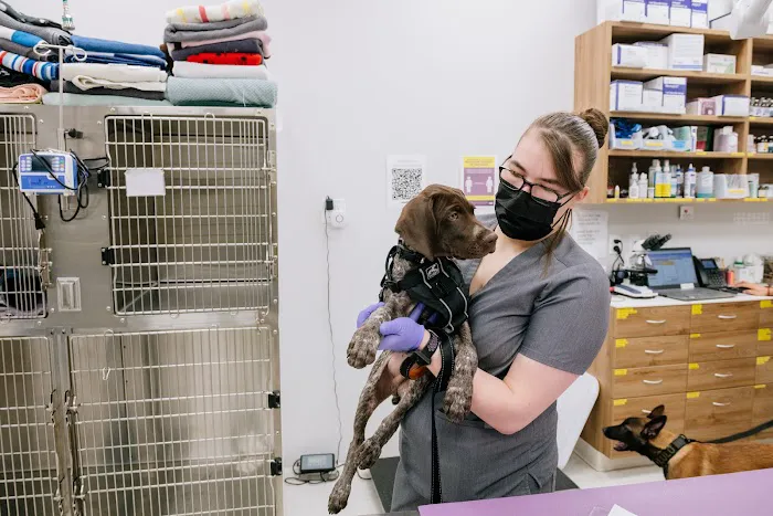 Pet Surgery Center of New York Picture 8