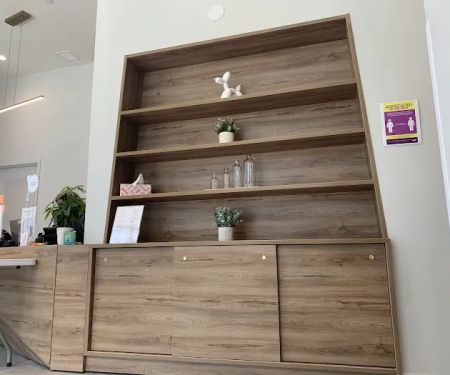 InstaVet