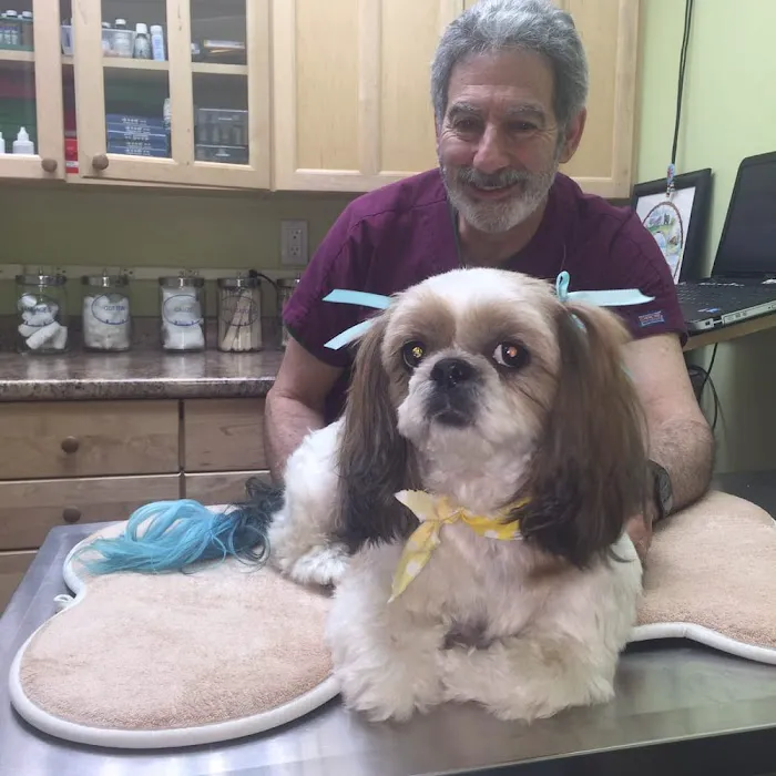 InstaVet Picture 10
