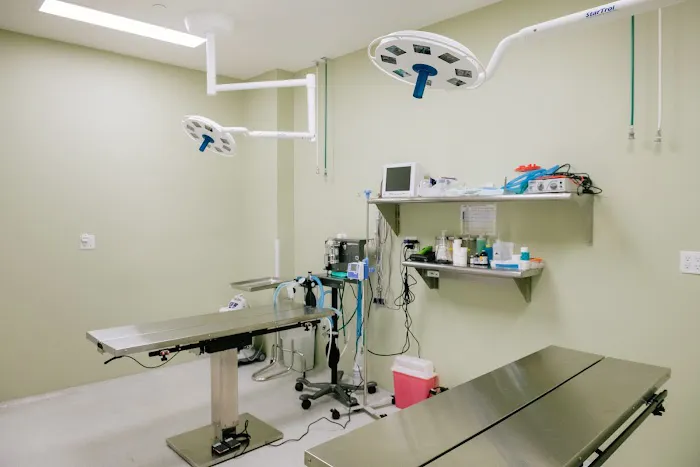 InstaVet Urgent Care & Wellness Animal Hospital - LIC Queens Pet Surgery Medical Center Picture 6