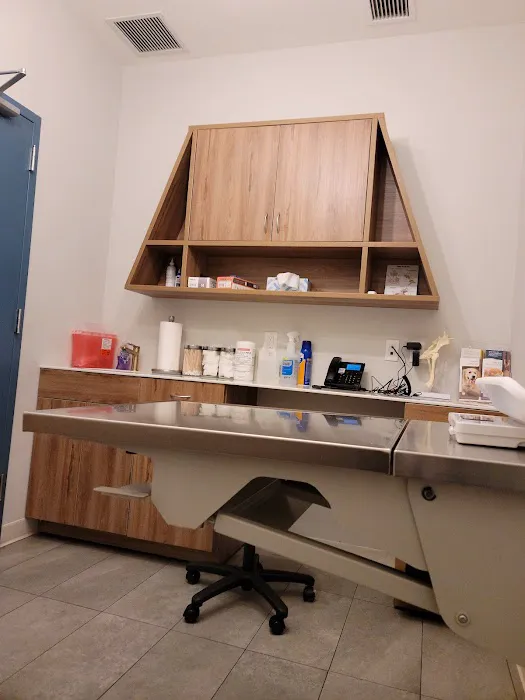 InstaVet Urgent Care & Wellness Animal Hospital - LIC Queens Pet Surgery Medical Center Picture 3