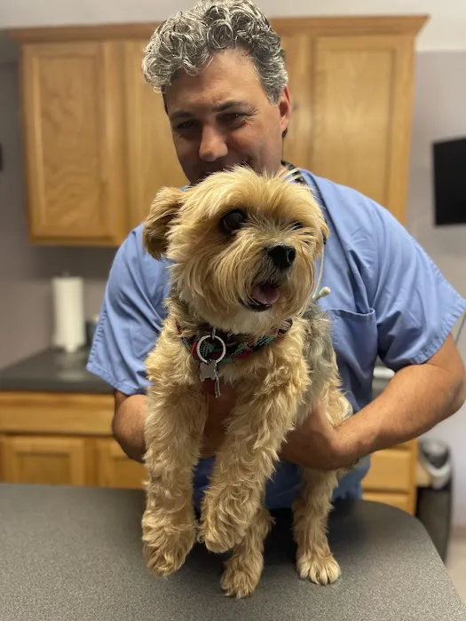 Veterinary Oncology Services Picture 2