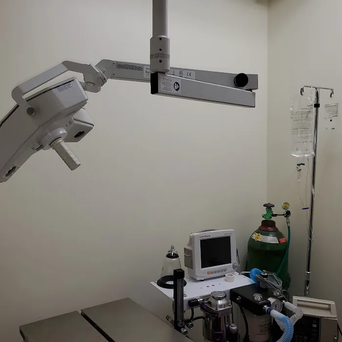Kew Gardens Animal Hospital Picture 10