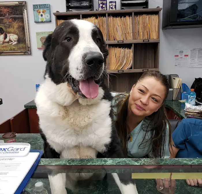 Kew Gardens Animal Hospital Picture 6