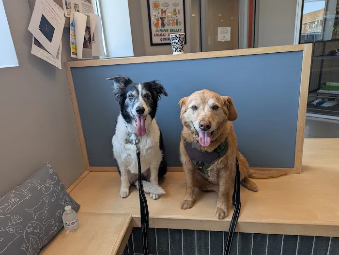 Juniper Valley Animal Hospital Picture 5