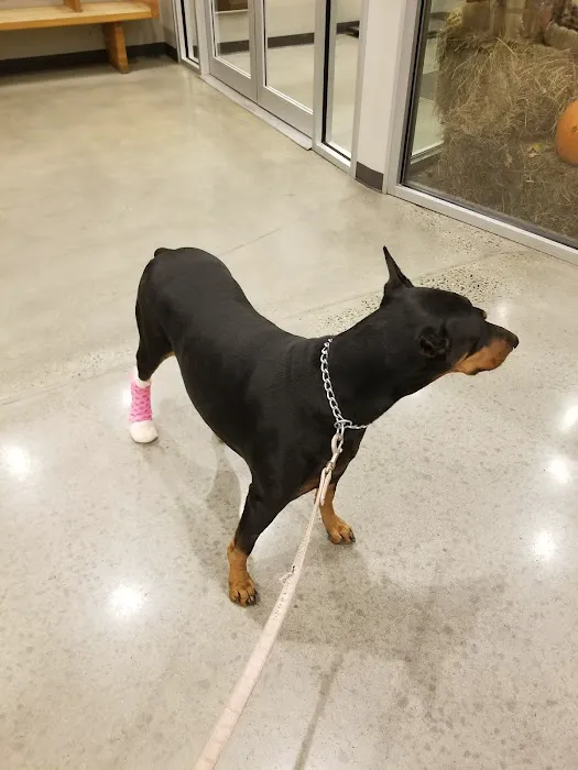 Juniper Valley Animal Hospital Picture 7