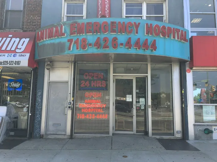 Elmhurst Animal Hospital Picture 7