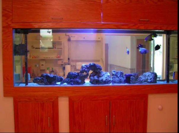 Elmhurst Animal Hospital Picture 10