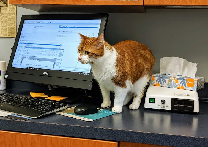 Ardsley Veterinary Associates Picture 7