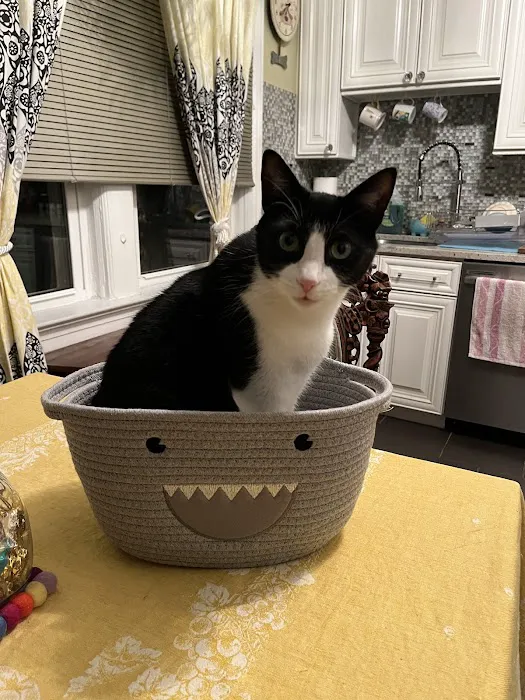 Dakota Veterinary Center Picture 4