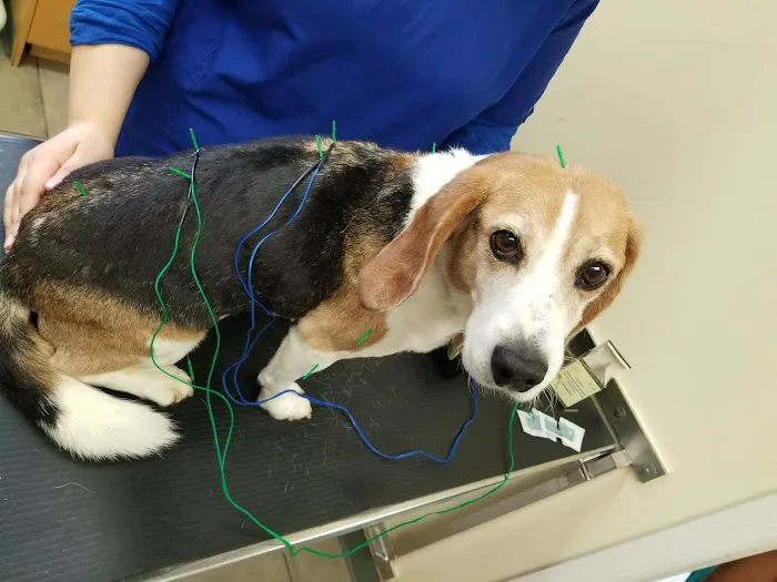 Dakota Veterinary Center Picture 5