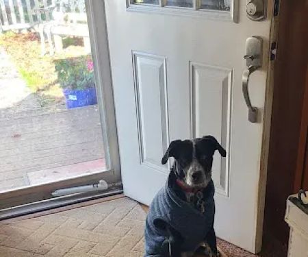 Valhalla Animal Hospital