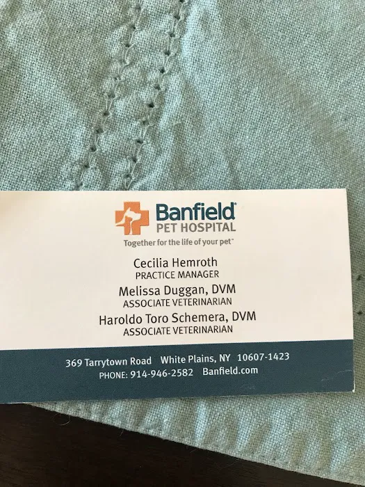 Banfield Pet Hospital Picture 3