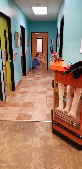Banfield Pet Hospital Picture 8