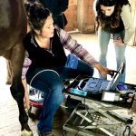 Cavallo Veterinary Services - Andrea Sotela, DVM
