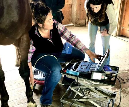 Cavallo Veterinary Services - Andrea Sotela, DVM