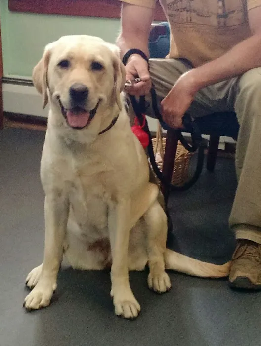 Better Lives Animal Hospital / Dr. Edward Decort Picture 1