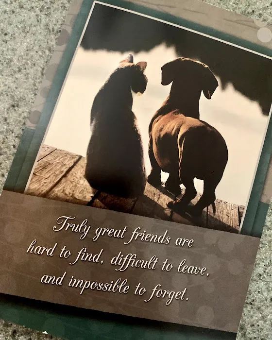 Better Lives Animal Hospital / Dr. Edward Decort Picture 9