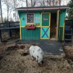 Bentley Veterinary Practice, PLLC