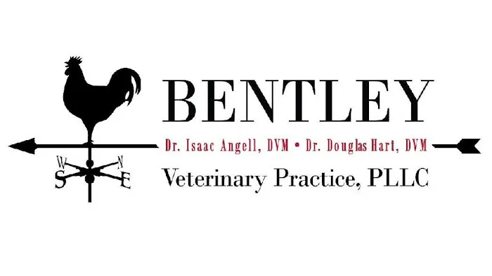 Bentley Veterinary Practice, PLLC Picture 8