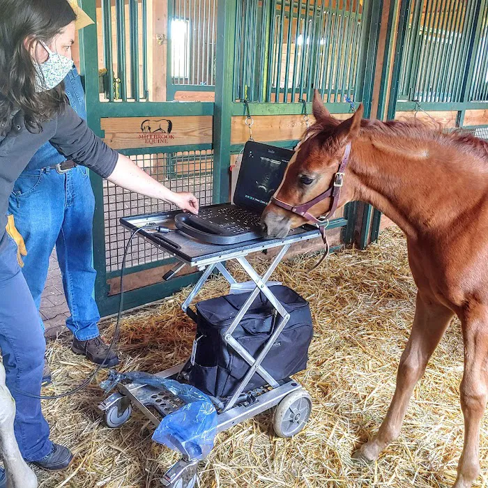 Millbrook Equine Veterinary Clinic, PC Picture 3