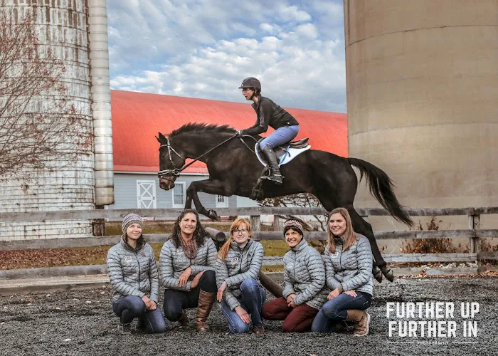 Millbrook Equine Veterinary Clinic, PC Picture 8