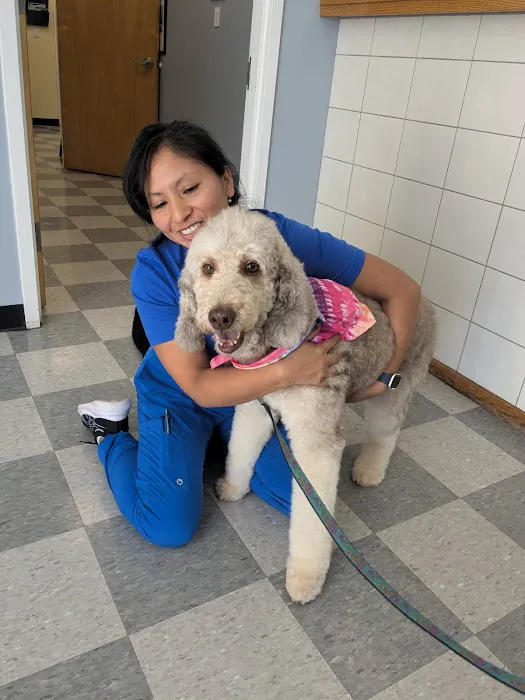 Veterinary Care of Bedford Picture 7