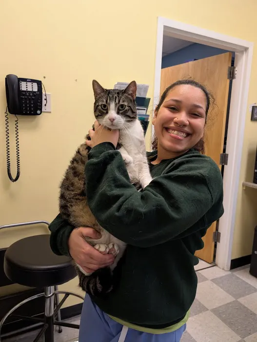 Veterinary Care of Bedford Picture 6