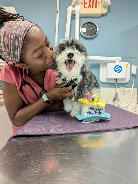 Veterinary Care of Bedford Picture 4
