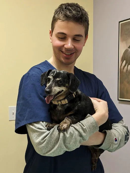 Veterinary Care of Bedford Picture 9