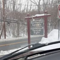 Bedford Village Vet Hospital ico